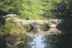 MaudslayGen1-01-Bridge